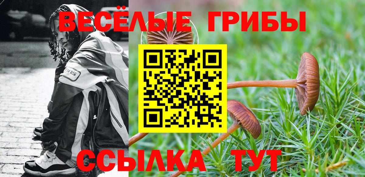 Псилоцибиновые грибы Psilocybe Егорьевск