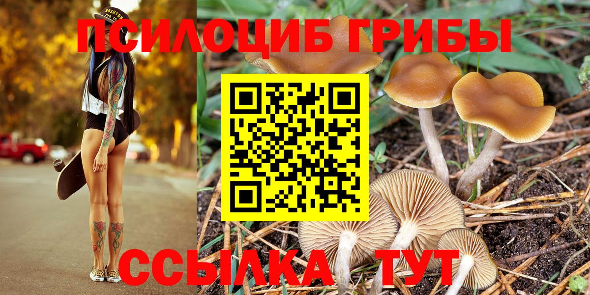 Псилоцибиновые грибы Psilocybe  Вход с VPN  Егорьевск 